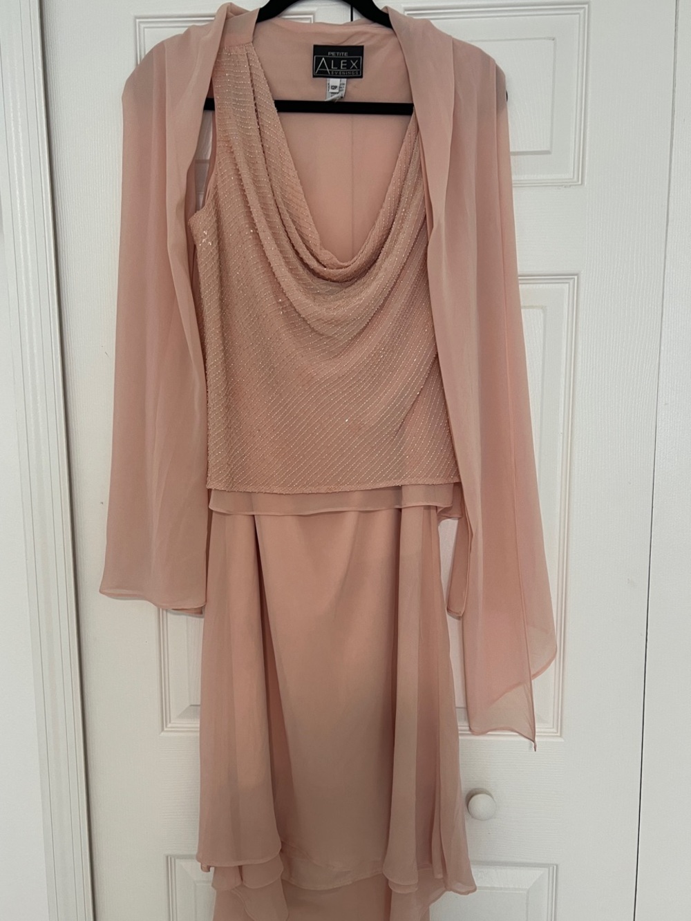 Alex Evenings Dusty Blush Chiffon Two-Piece Evening Ensemble